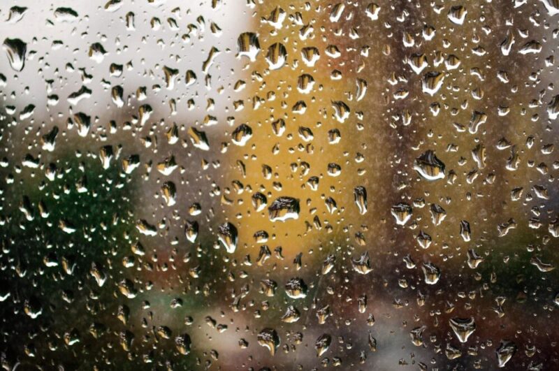 雨